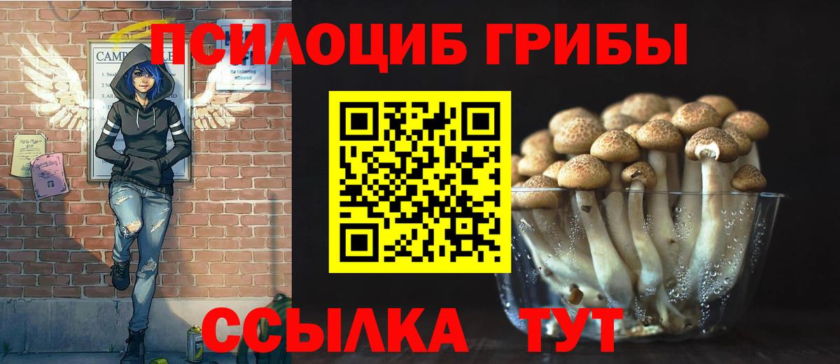 Галлюциногенные грибы Psilocybine cubensis  Вход с VPN  Новочеркасск 
