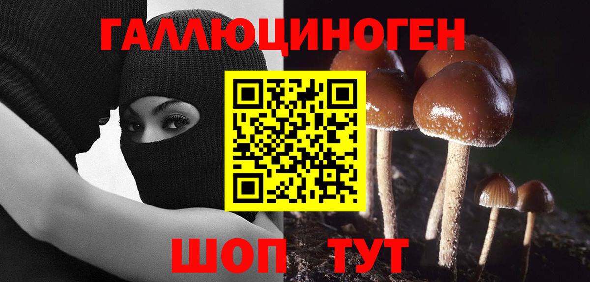 Псилоцибиновые грибы GOLDEN TEACHER Новочеркасск